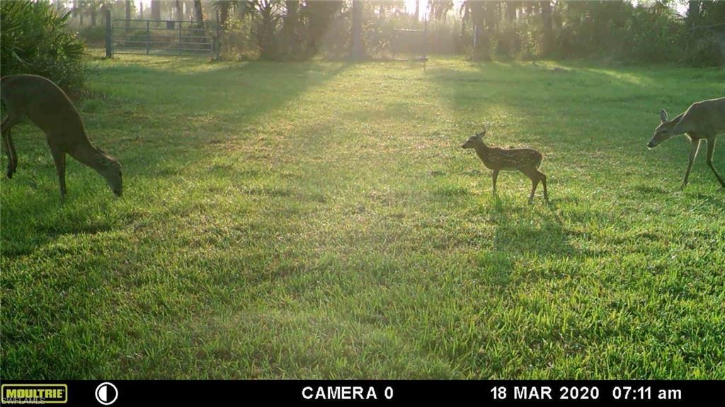 ACREAGE HEADER - Land