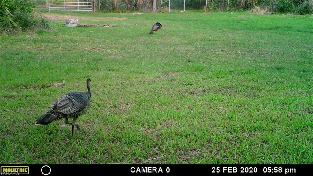 ACREAGE HEADER - Land