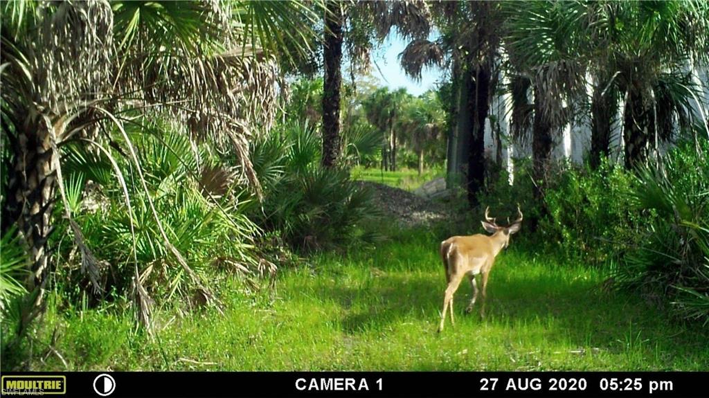 ACREAGE HEADER - Land