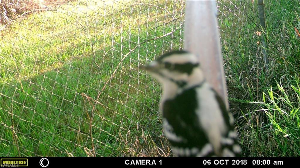 ACREAGE HEADER - Land