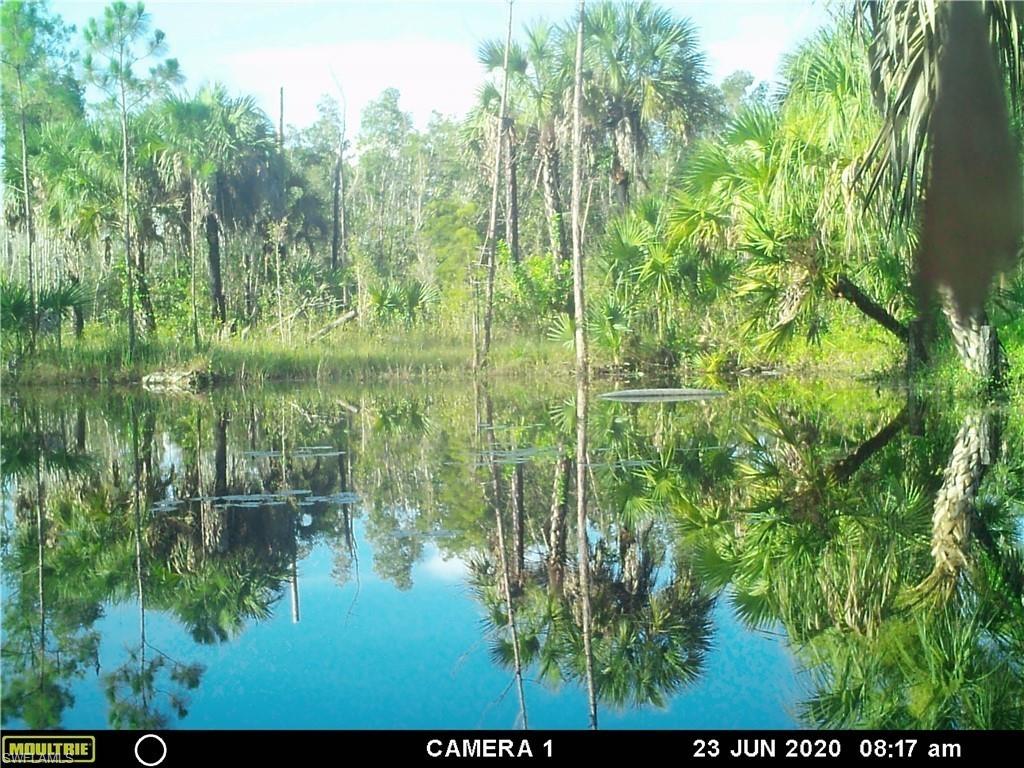 ACREAGE HEADER - Land