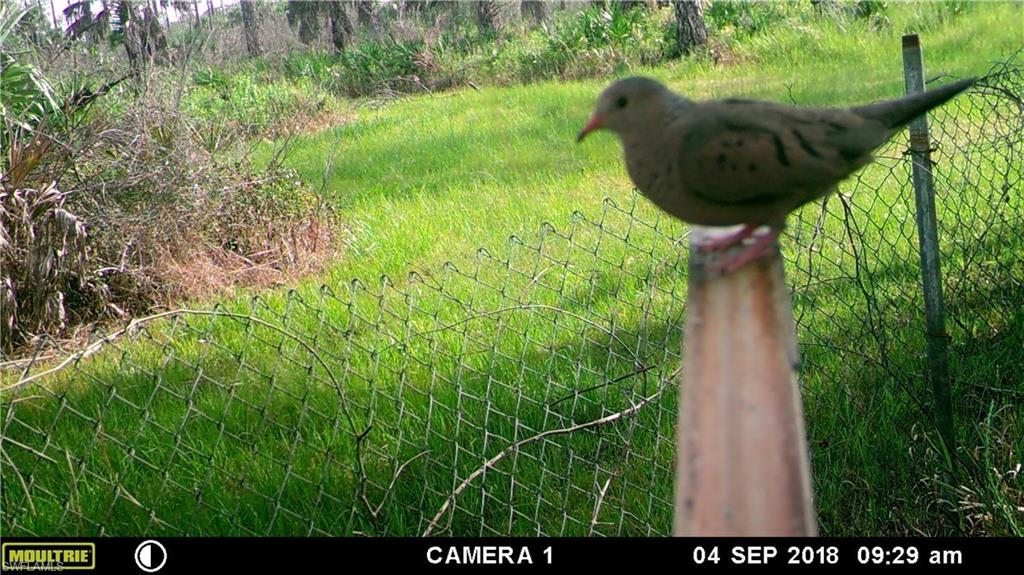 ACREAGE HEADER - Land