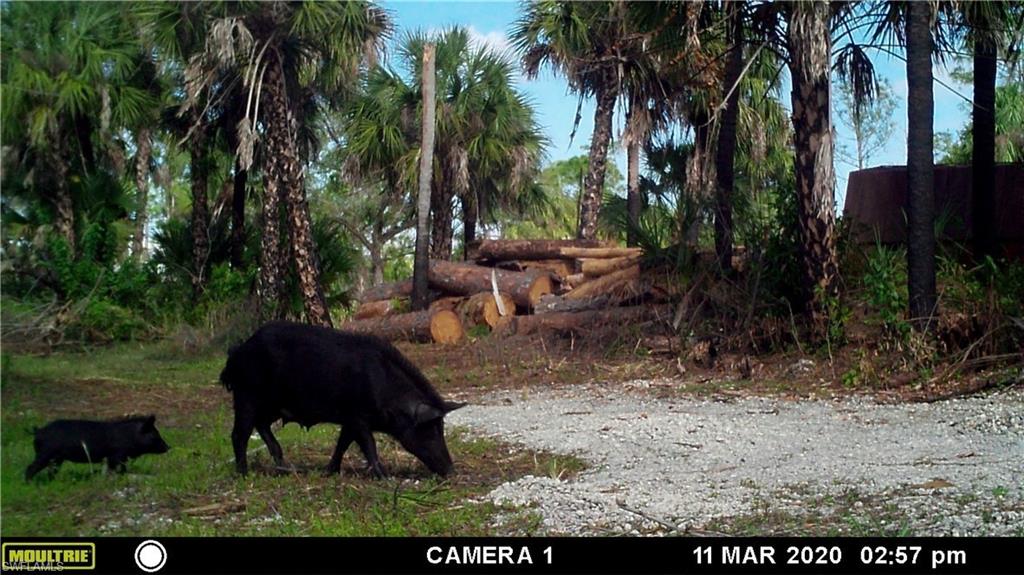 ACREAGE HEADER - Land