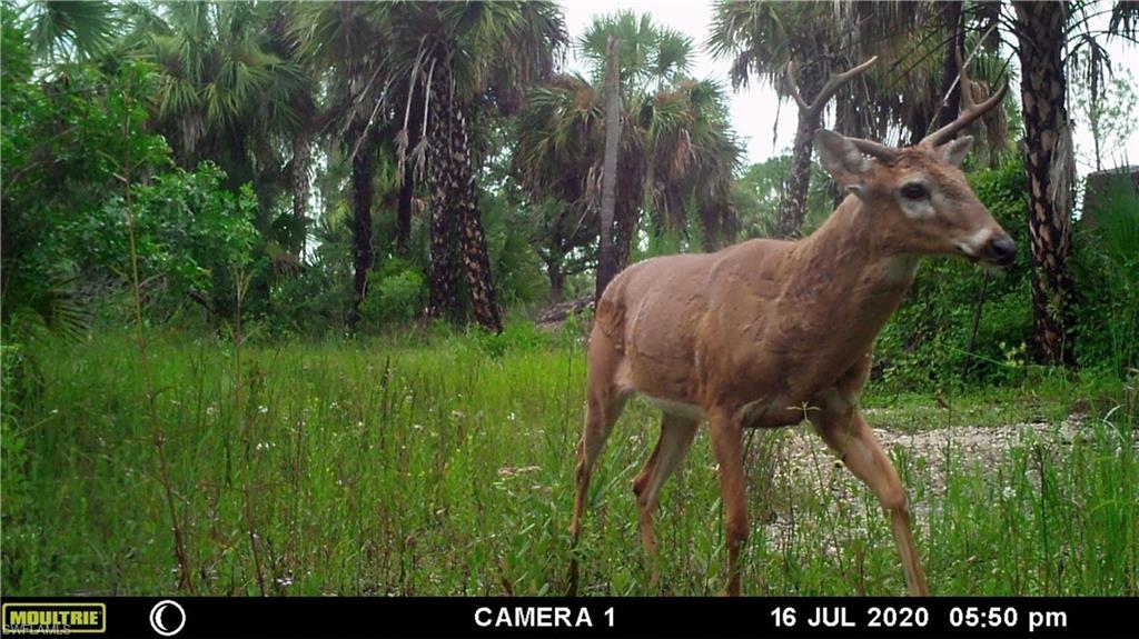 ACREAGE HEADER - Land