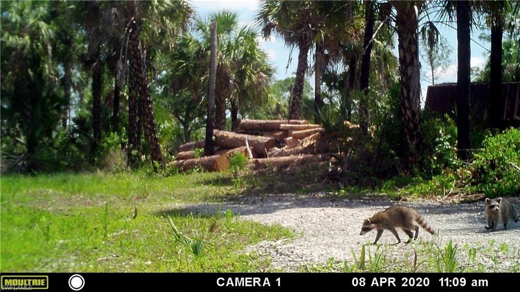 ACREAGE HEADER - Land