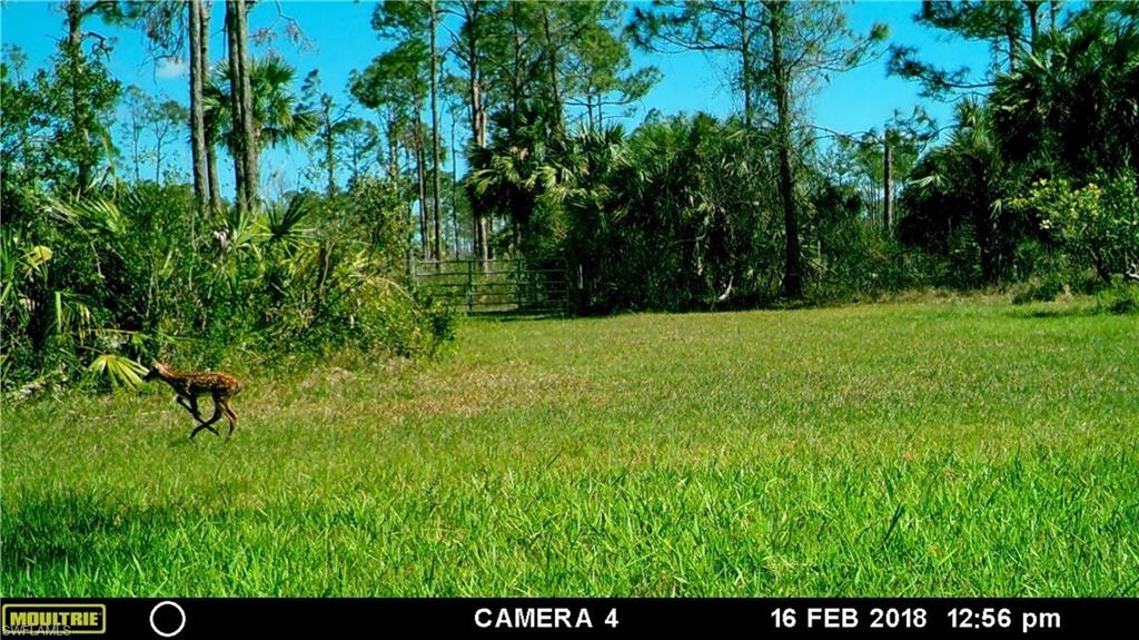 ACREAGE HEADER - Land