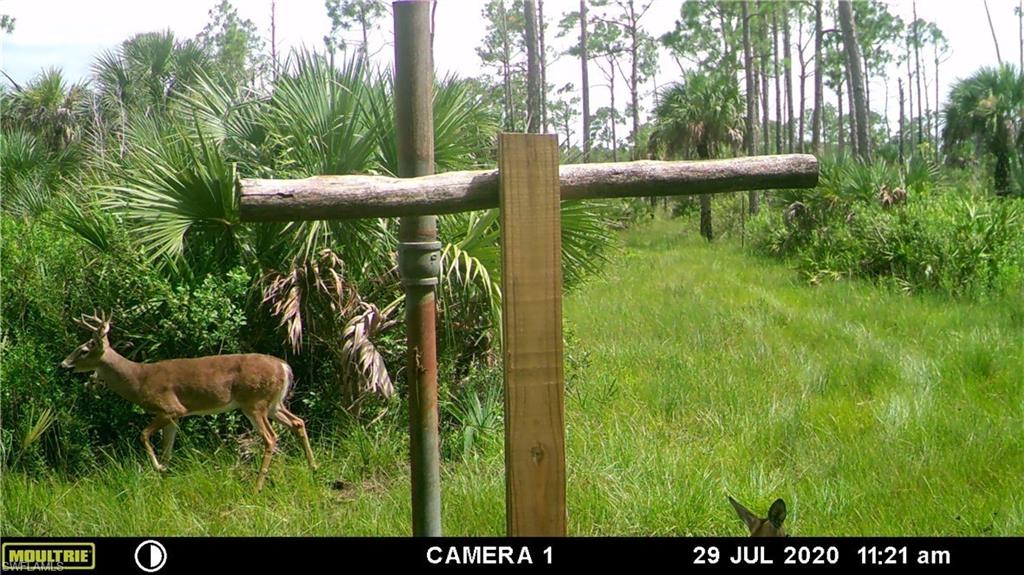 ACREAGE HEADER - Land