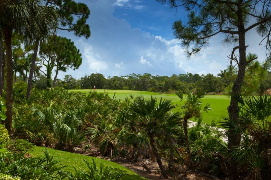 HAMMOCK ISLE AT BONITA BAY - Residential