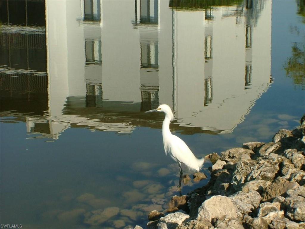 PINE RIDGE OF FORT MYERS VILLAGE - Residential
