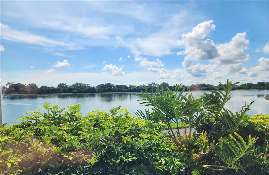 PINE RIDGE OF FORT MYERS VILLAGE - Residential