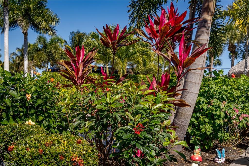 NAPLES MOTORCOACH RESORT - Land