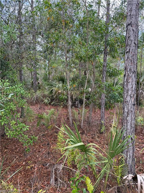 GOLDEN GATE ESTATES - Land