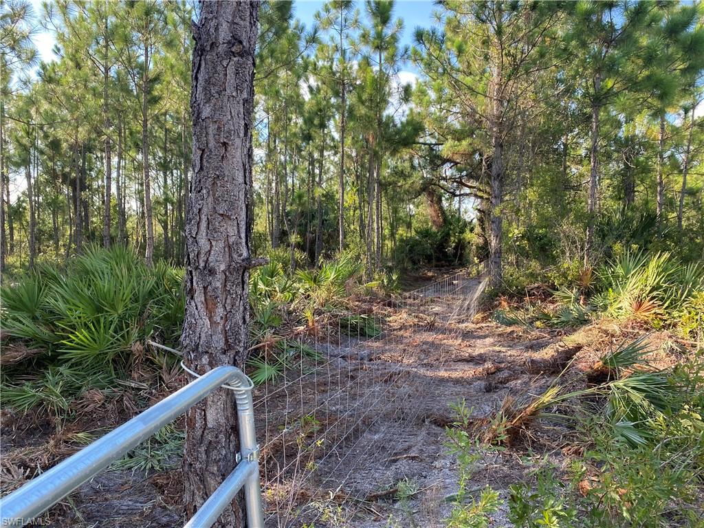 GOLDEN RANCHES - Land