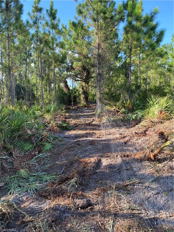 GOLDEN RANCHES - Land