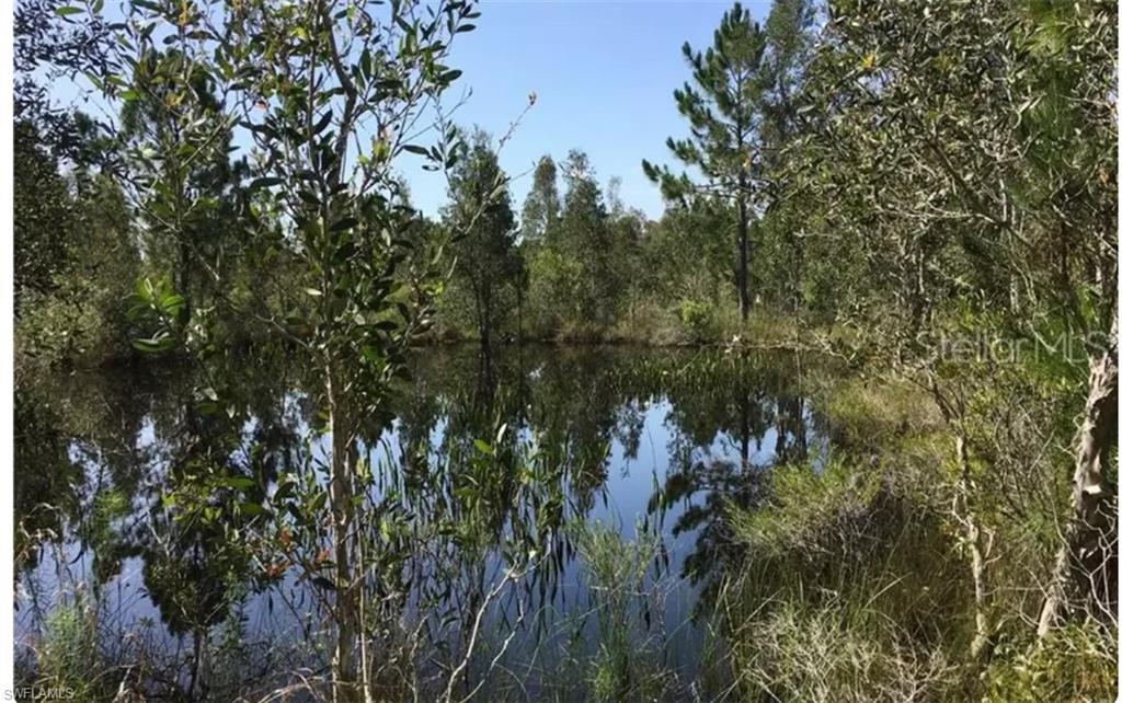 GOLDEN RANCHES - Land