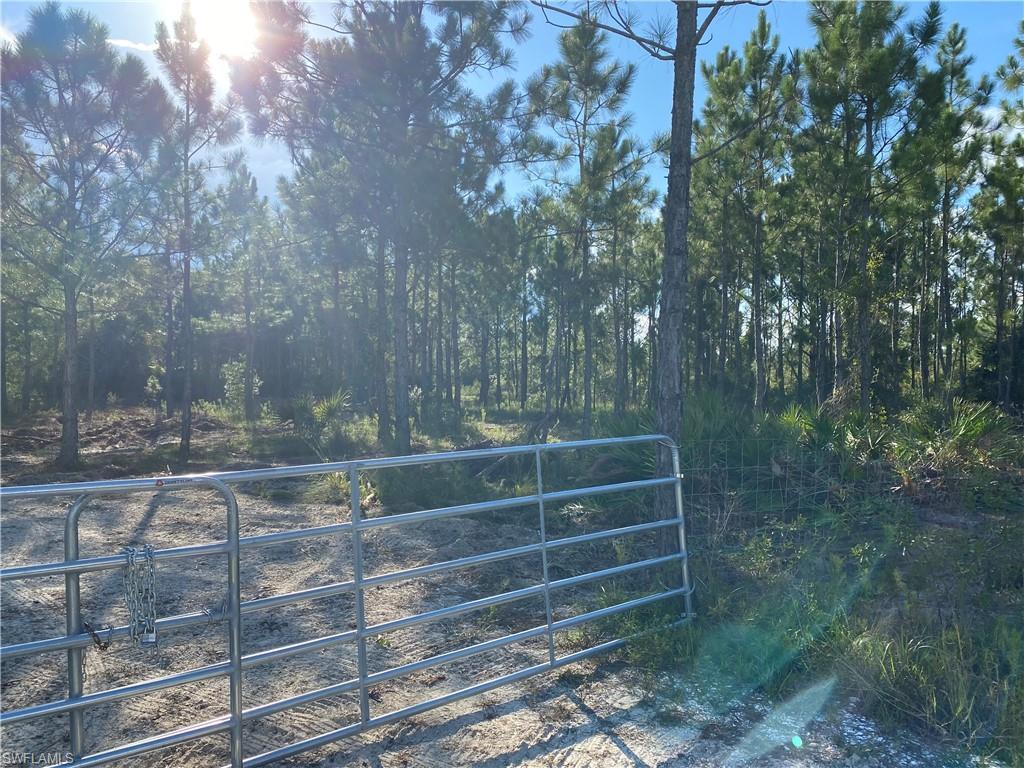 GOLDEN RANCHES - Land