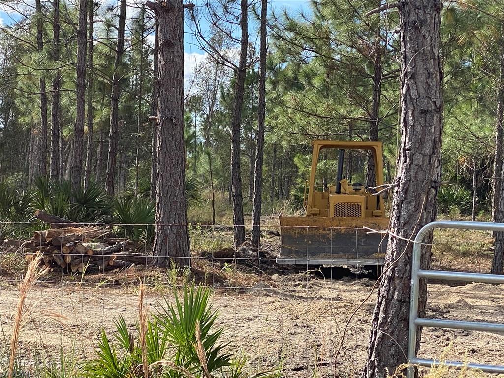 GOLDEN RANCHES - Land