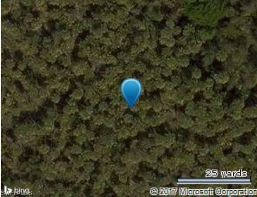 2.73 Acres Great access with the new road on Golden Gate Blvd and Everglades Blvd.