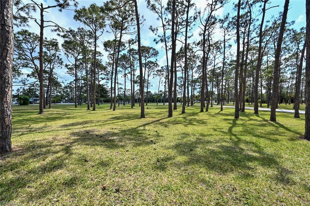 RIVERWOODS PLANTATION - Residential