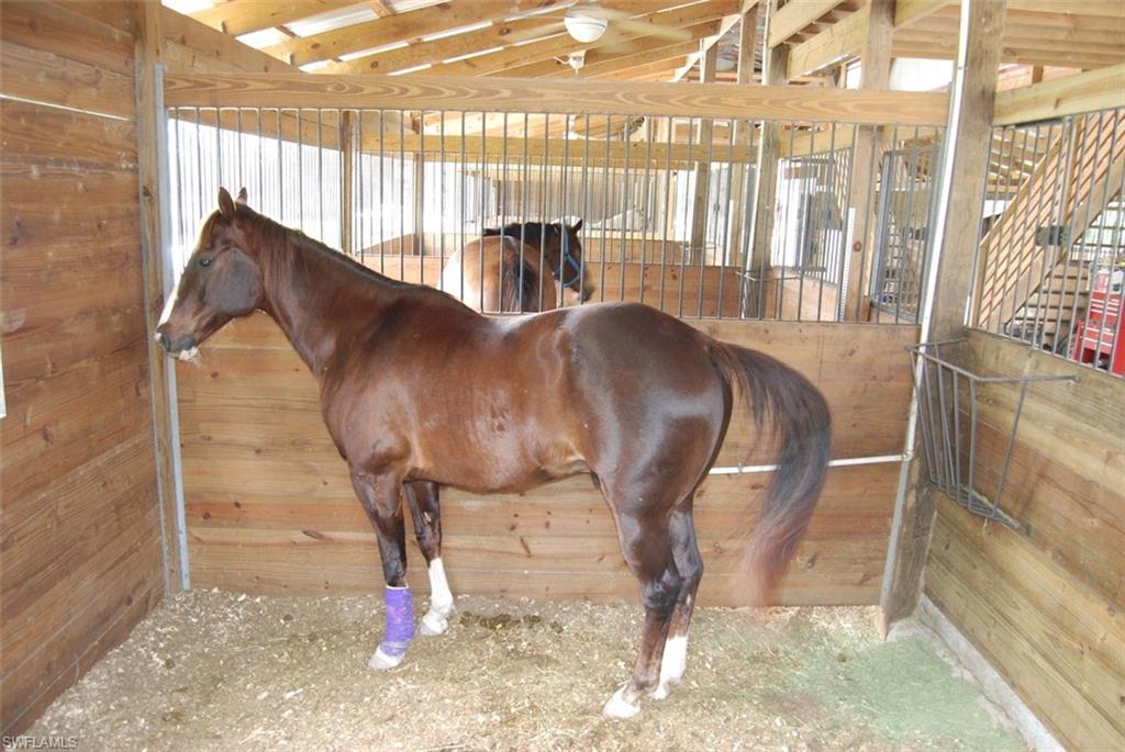 CREEKSIDE ESTATES - Land