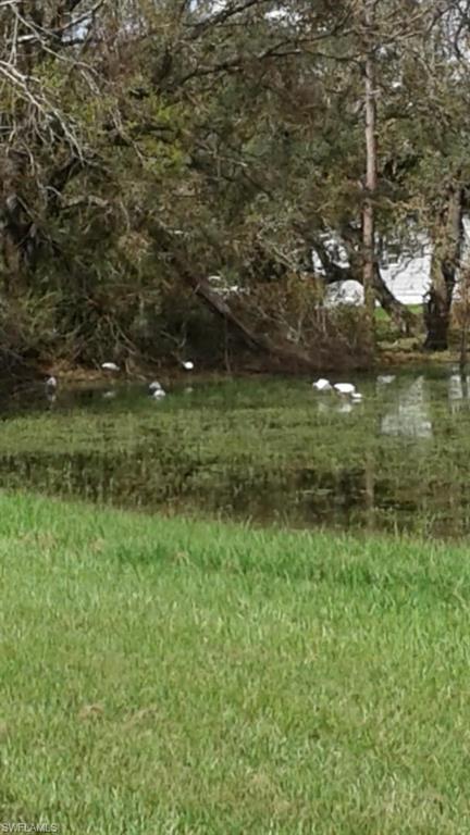 BIG OAK ACRES - Residential