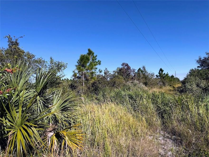 Excellent location and zoned for mobile or modular homes! Adjacent to hundreds of vacant pasturelands, enjoy the peace and quiet of country living! Located in Glades County and the desirable West Glades School District.