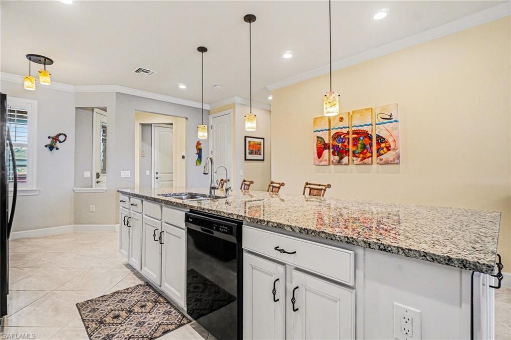 CORKSCREW SHORES - Residential