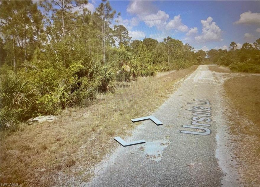Be the proud owner of a vacant lot in sunny Florida! Are you looking for privacy? This is an undeveloped vacant lot in rustic Lehigh Acres. Build your dream home or hold for investment. Lehigh Acres is one of the quickest growing areas in SW Florida.