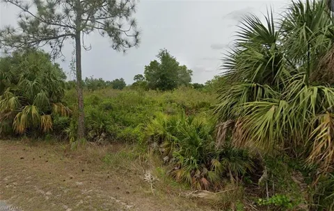808 Maple Ave N, Lehigh Acres, FL 33972 - #: 225010730