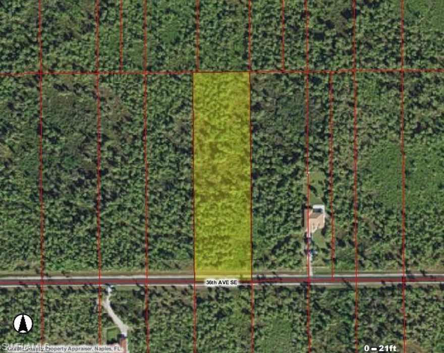 NICE WOODED LOT OF PALMS AND PINES.