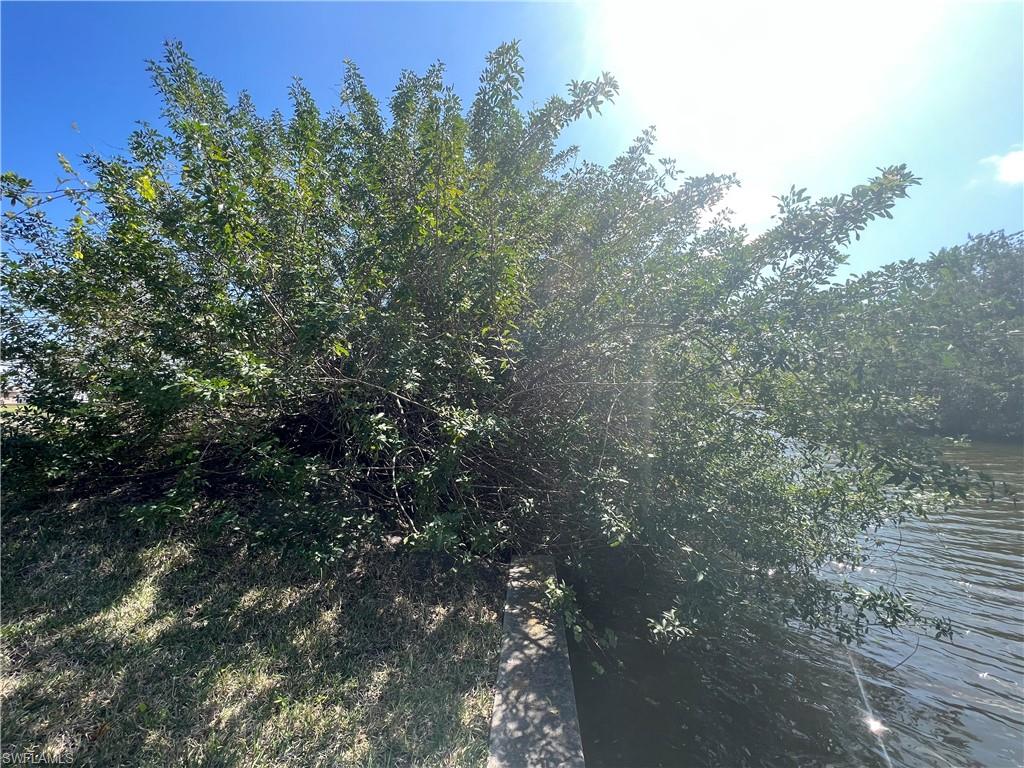CAPE CORAL - Land