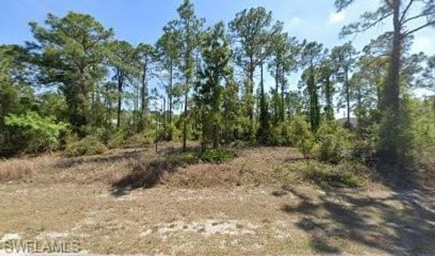 GREAT BUILDABLE LOT WITH LITTLE CLEARING NEEDED. CLOSE TO RT. 82 AND EVERYTHING FORT MYERS HAS TO OFFER.