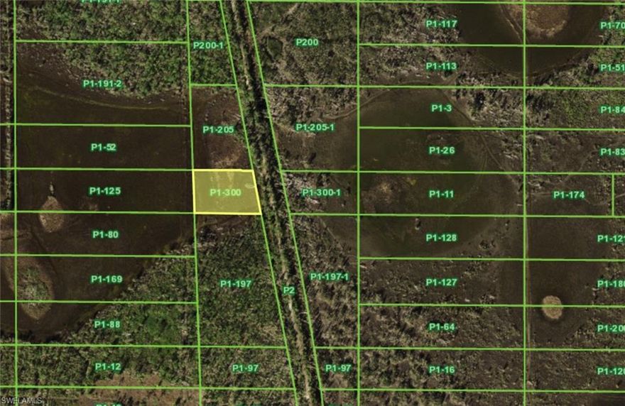 Escape the city to this beautiful 1.1-acre lot on Oil Well Rd. Boasting highly desirable AG (Agriculture General) zoning, this property allows for livestock, farming, and residential use with NO HOA or deed restrictions. This is unplatted acreage (Legal: ZZZ 154224 P1-300), giving you the privacy and autonomy you deserve. Excellent location for a custom home or hobby farm, situated conveniently between Punta Gorda and North Fort Myers. Close to I-75 and local amenities. Survey and environmental due diligence are recommended. Don't miss this opportunity to own a piece of "Old Florida" in a prime location! Lot dimensions approximately