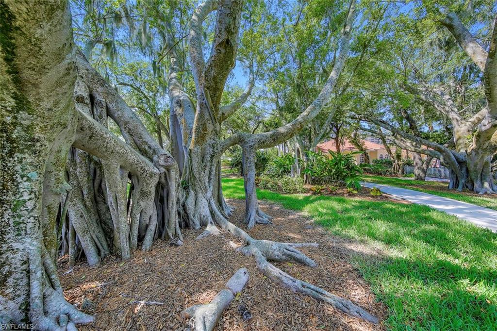 TARPON LANDINGS - Residential