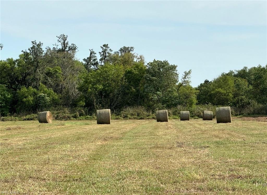 NOT APPLICABLE - Land