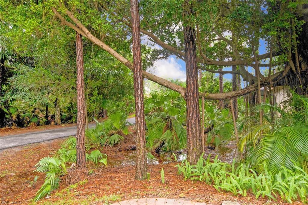 SEA PINES - Residential