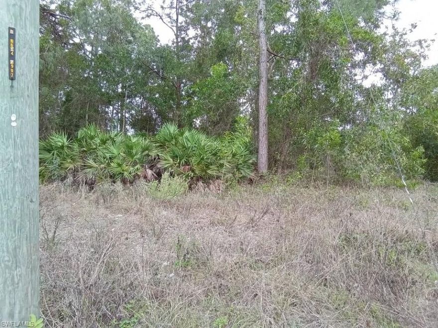 Duplex lot FOR SALE to build in this growing neighborhood of Lehigh Acres, come build an income-producing duplex on this well-located duplex lot on a paved road and with electricity available on site. The seller has multiple lots available for sale individually or as a package. Come and enjoy all Sunny South West Florida has to offer like shopping, restaurants, medical, and school. Don´t miss out this incredible opportunity with an excellent price.Coordinates: 26.6027641, -81.7430267Site Address: 2437 Joe Ave S, Lehigh Acres, FL 33973, USAParcel# 31-44-26-03-00010.0100Legal Description: LEHIGH ESTATES UNIT 3 BLK 10 PB 15 PG 83 LOT 10Subdivision: LEHIGH ESTATES UNIT 3Lot Size: .29Lot Dimensions: 100 x 125Sq. Ft.: 12,632.40County: LeePaved: YESElectricity: YESWater: NOSewer: NOCovenants, Restrictions, and Association Dues: NoneTitle: Free and Clear (no liens or unpaid taxes)Taxes 2021: $299.60