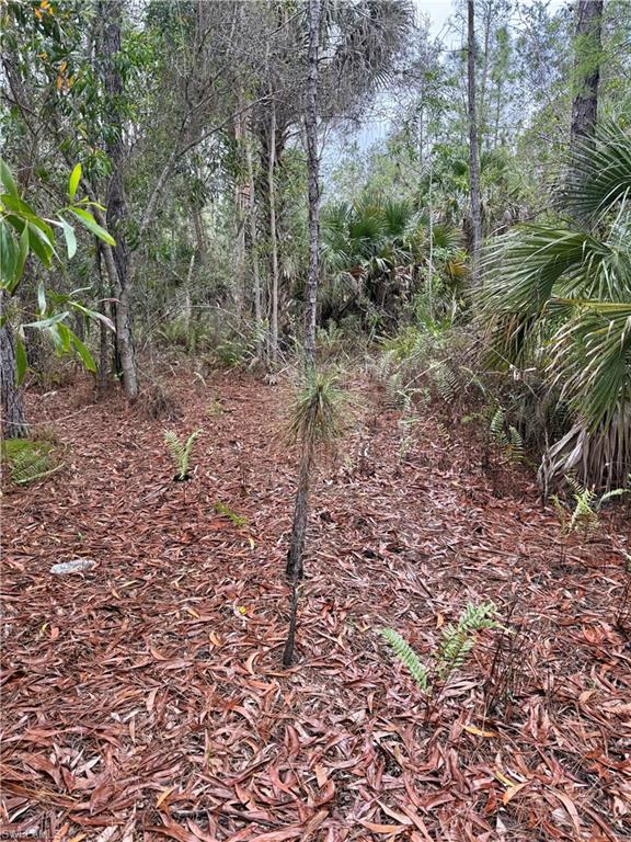 GOLDEN GATE ESTATES - Land