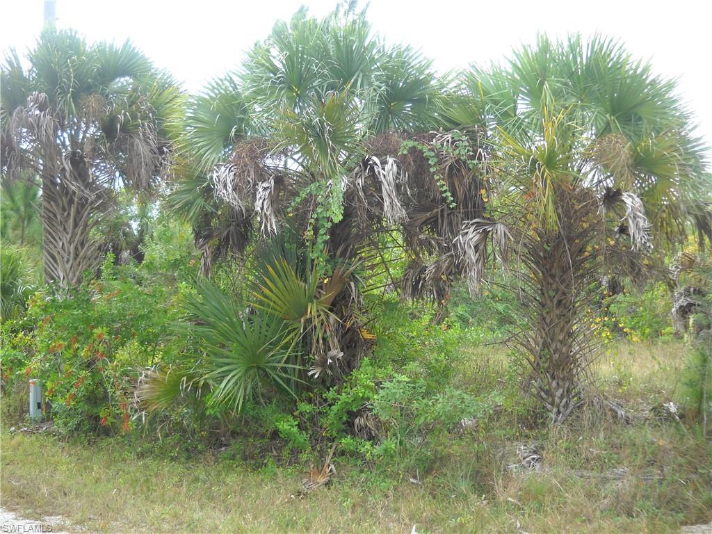 PORT CHARLOTTE - Land