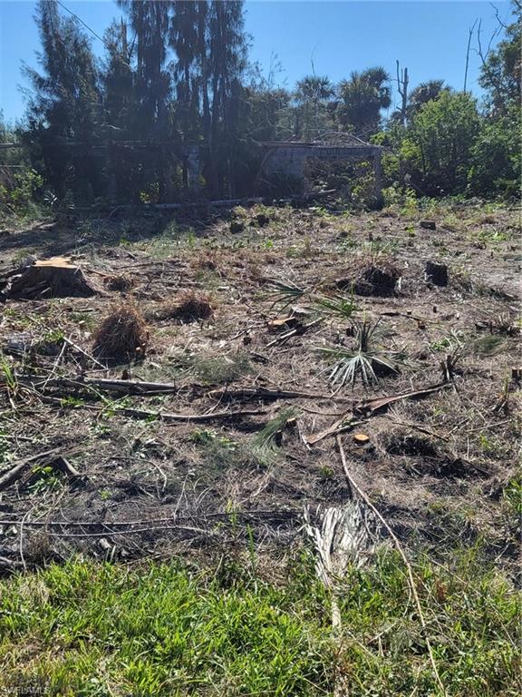 PINE ISLAND TROPICAL HOMESITES - Land