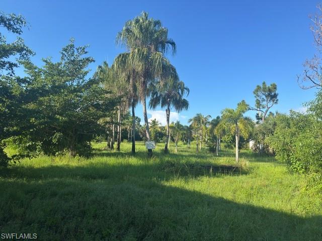 PINE ISLAND RIDGE - Land