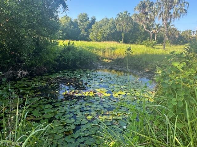 PINE ISLAND RIDGE - Land