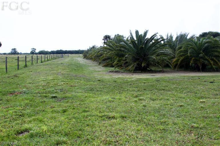 Buckhead Ridge - Residential