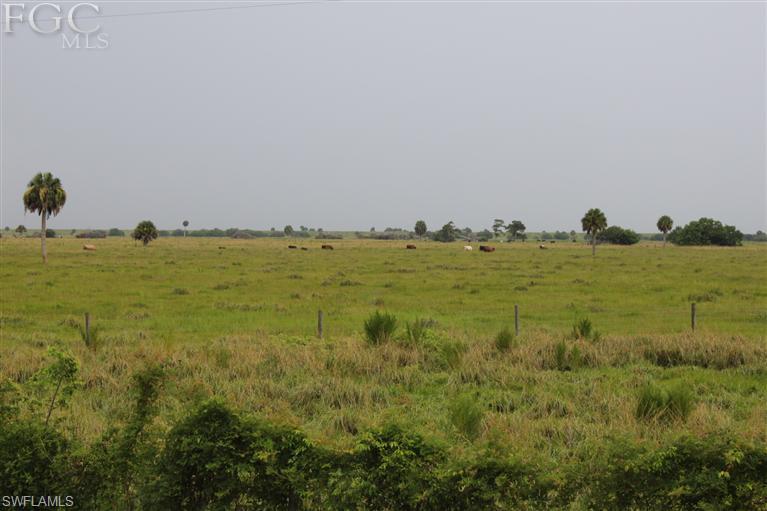 Buckhead Ridge - Residential