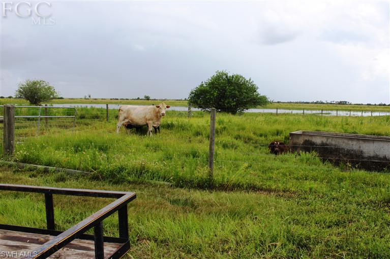 Buckhead Ridge - Residential