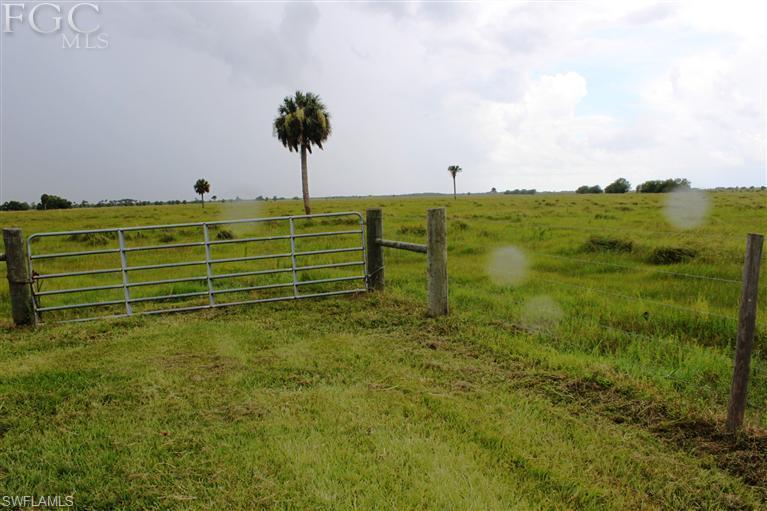 Buckhead Ridge - Residential