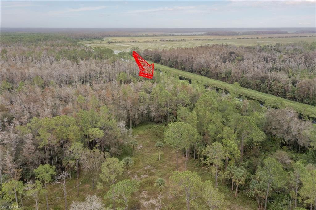 GOLDEN GATE ESTATES - Land