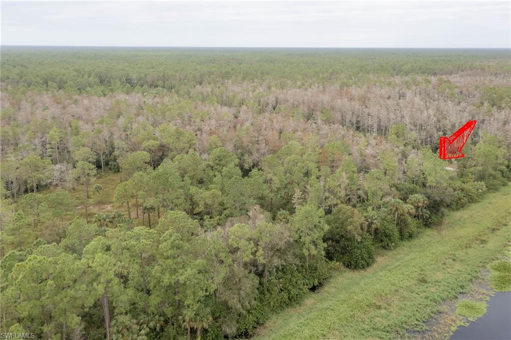 GOLDEN GATE ESTATES - Land