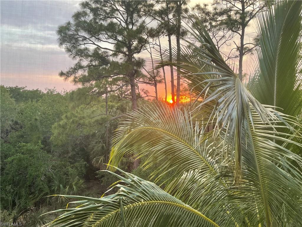 CREEKSIDE PRESERVE - Residential