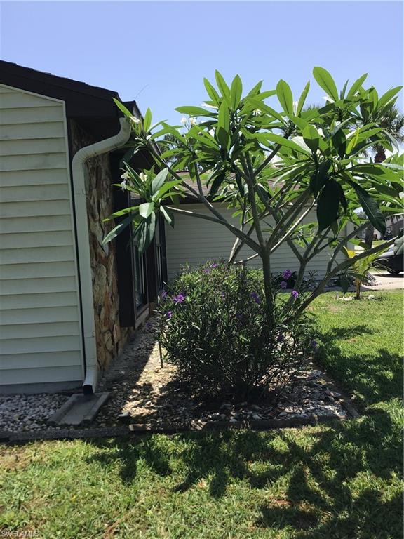 COCONUT RIVER - Residential